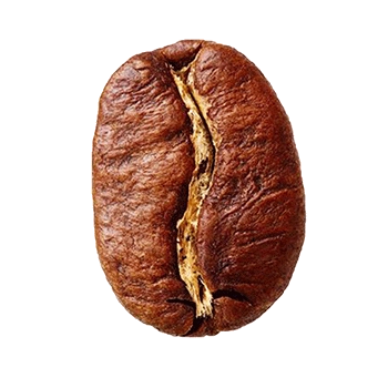 Coffea Arabica coffee beans