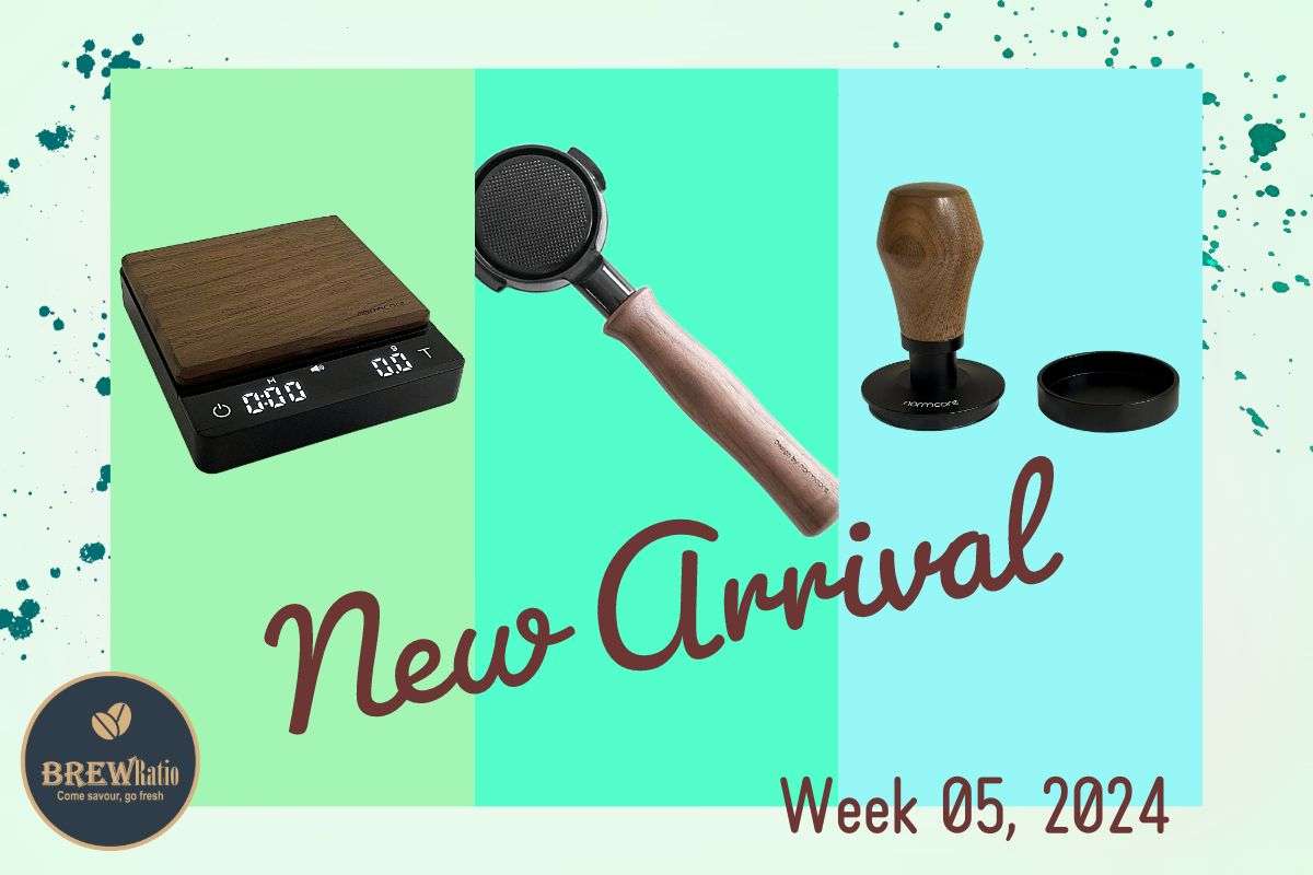 New Arrival - Week 05, 2024