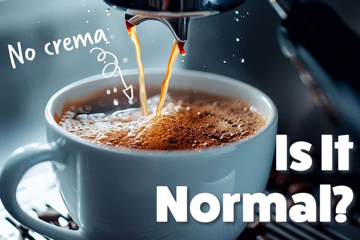 Is It Normal